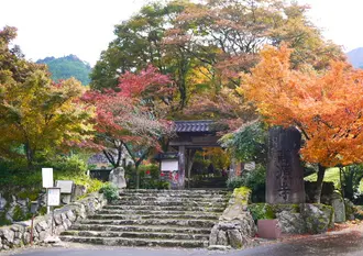 秋の栗スィーツとコスモスの旅（丹波地区）紅葉スポットも追加