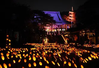 ［片瀬～長谷～江ノ島］8月限定 幻想的な夜景巡り♪