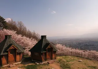 彼方を眺める桜の公園と、入園フリーの動物園！