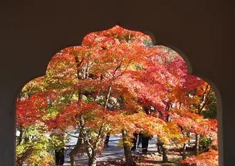 京都紅葉とcafeめぐり