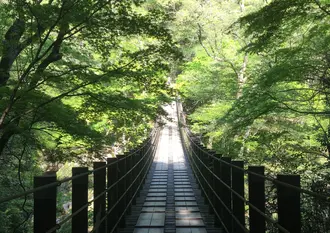 新緑と常陸秋そばを巡る奥茨城旅