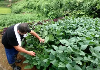 新潟の農家民宿♡まるで実家がふえたような心落ち着く時間を過ごすほっと旅