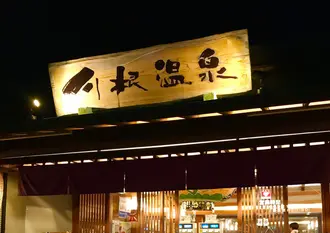 のんびりキャンプと童心に帰る旅〜静岡県川根町〜