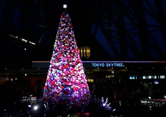 【浅草&スカイツリー】紅葉とイルミネーションを楽しむ日✨