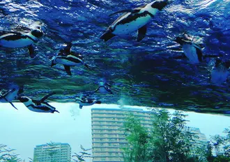 【雨の日デートプラン】池袋サンシャインシティを１日遊びつくす