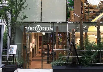 クリスマス🎄綺麗になれる表参道の無料美容スポット☺︎