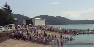 天草御所浦島🏝夏を遊び尽くせ🏖あなたのお子さんもきっと満足できます‼️