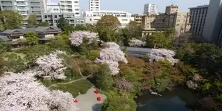 春だ花見だ白金だ!!大人向けの白金台散歩♪