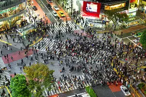 「大都会 東京」を実感するスポット