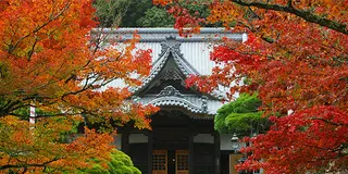 伊豆ドライブ旅