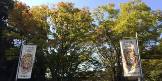 多摩動物公園と京王れーるランドを楽しんだら、カレーに舌鼓♪