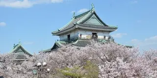 関西　おはな