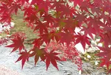 青井岳自然公園