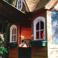 伊豆シャボテン動物公園の写真・動画_image_342829