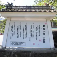 若桜駅の写真・動画_image_135274