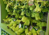 大王わさび農場の写真・動画_image_286006