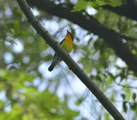 上野原市の写真・動画_image_54180