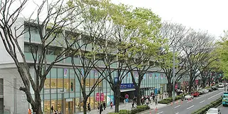 オシャレな街！表参道・原宿・青山をまるっと巡るおすすめデートコース🌷