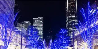 横浜みなとみらい 心もきらめく 冬のイルミネーション巡り