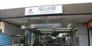 【ランチデート】等々力渓谷で有意義な時間