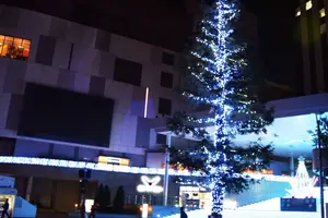 東京イルミネーション探訪