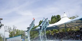 和倉温泉でのんびり＆のとじまドライブ！