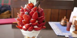 春満喫・巨大いちごパフェとイチゴ狩りを楽しむプラン