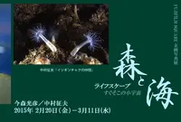 FUJIFILM SQUAREの写真・動画_image_129550