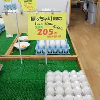 卵菓Hashitamaの写真・動画_image_23112