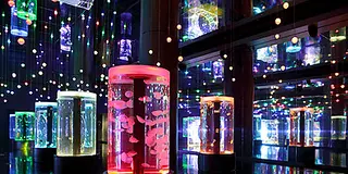 オフィス街品川。実はお仕事帰りのデートにぴったりなスポットだらけなんです◎