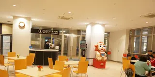 レンタカーなしで楽しむ、沖縄本島南部の旅。