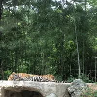 エバーランド/에버랜드の写真・動画_image_455409