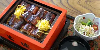 【3-4月オススメ】うなぎ！川下り！ひな祭り！歴史探訪！春の柳川を1日で満喫する旅♪