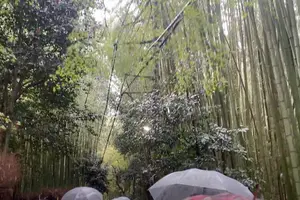 【京都】スイーツと春の景色を堪能するぶらり京都の旅🌸