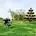 公園ハンター