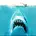 Jaws’ kabu