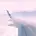 かほ