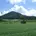 NPO法人頴娃おこそ会