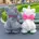 まりな