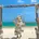 hidemijoy