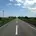 borsche