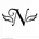 Noppi