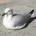 てっぱん君