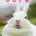 うさぎ