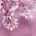 日向ぼっこ