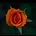 EURAN