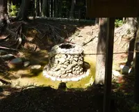 十輪寺の写真・動画_image_76956