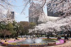 日比谷 お花見ついでに日比谷ミッドタウンへ！