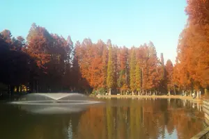 埼玉の公園まとめ