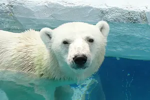 愛媛巡り
